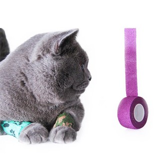 ผ้าพันแผลเหนียวสำหรับสัตว์เลี้ยง